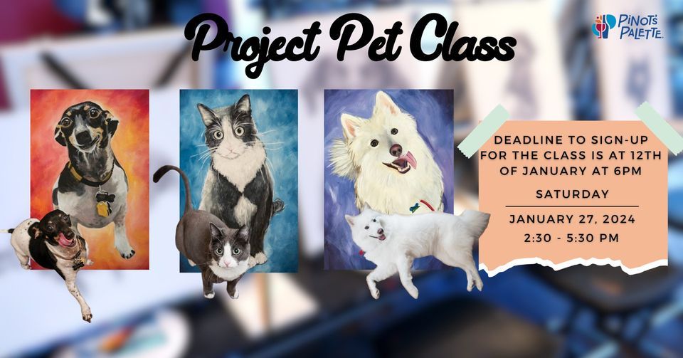 Specialty Event Project Pet Class 2024, 8 Parade St, Suite 102