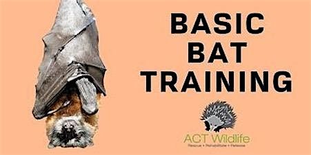 Basic Bat training, ACT Wildlife HQ, Duffy, 15 September 2024 | AllEvents