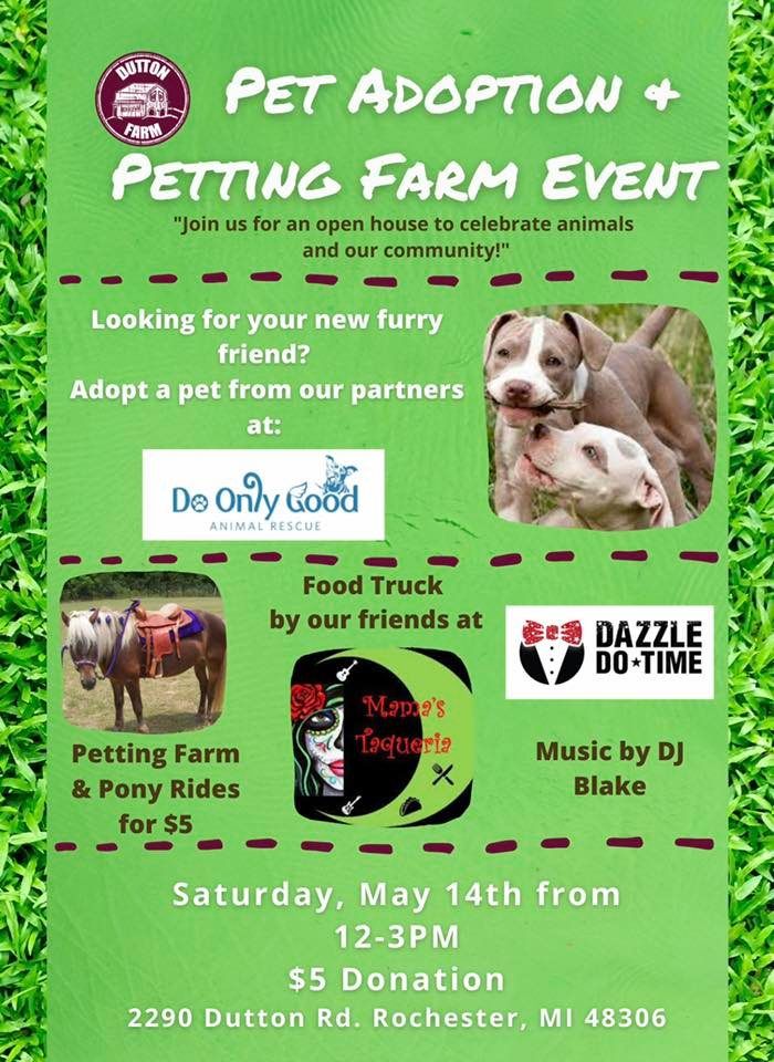 Spring Fling Pet Adoption & Petting Farm at Dutton Farm on Saturday, May14th from 12:00-3:00pm, 2290 Dutton Rd, Rochester, MI 48306-2332, United States, 14 May Spring Fling Pet Adoption & Petting Farm at Dutton Farm on Saturday, May14th from 12:00-3:00pm, 2290 Dutton Rd, Rochester, MI 48306-2332, United States, 14 May