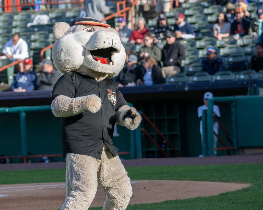 New England Knockouts at Tri-City ValleyCats at Joseph L. Bruno Stadium, 9 May | Event in Troy | AllEvents