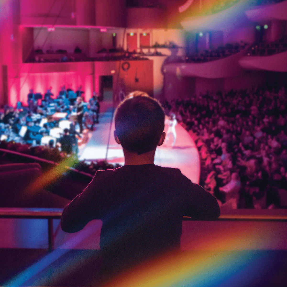 Baltimore Symphony Orchestra - Verdi's Rigoletto Conducted by Heyward at Music Center at Strathmore, 14 June