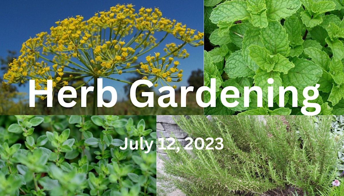 The Top 5 Herbs to Grow in Your Garden, N.C. Cooperative Extension