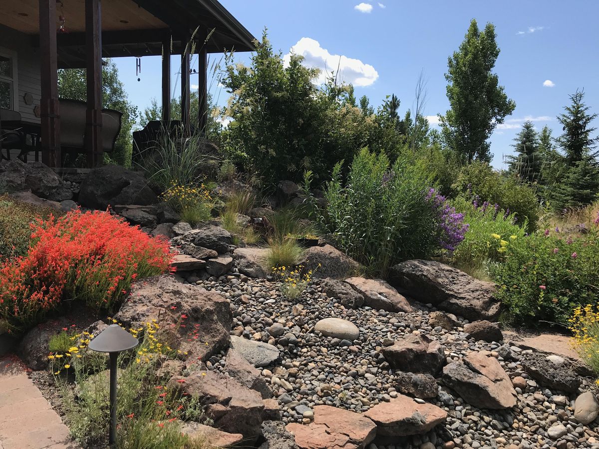 Native Plant Landscaping | Worthy Brewing Company, Bend, OR | Tue September  6, 2022