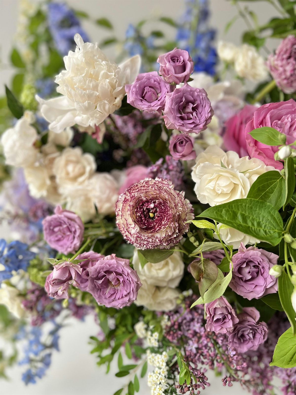 IN STUDIO - Bridgerton Blooms, 11 June | Event in Alexandria | AllEvents