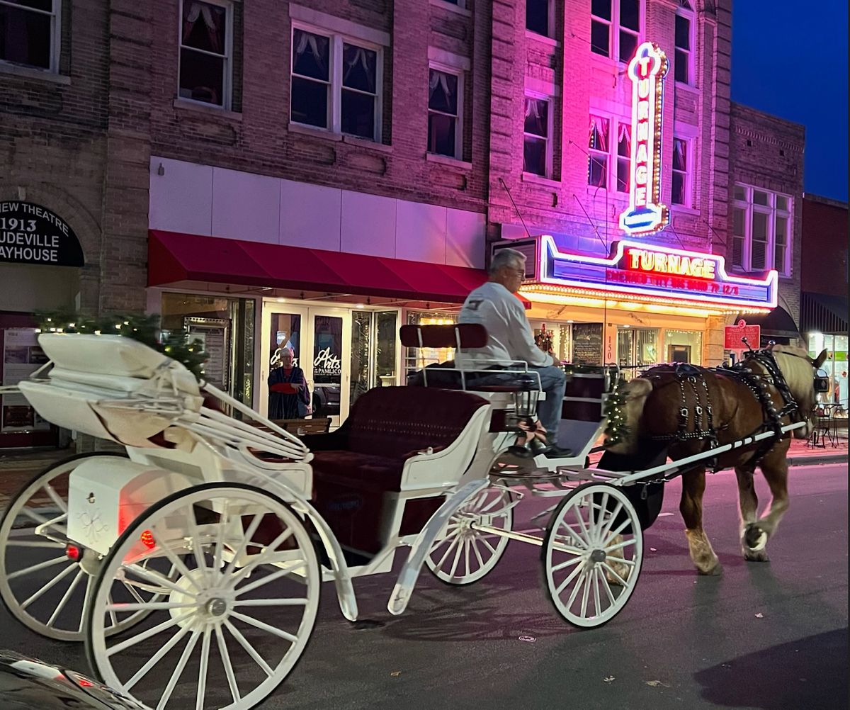 Christmas HorseDrawn Carriage Rides Downtown Washington, NC (Part 2), Washington, 20 December
