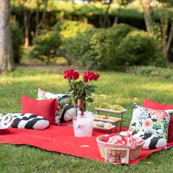 Private Picnic Experience in the Queen City | Event in Charlotte | AllEvents