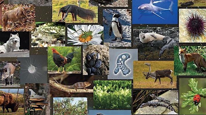 Saturday DNA! Selection Detection, 21 March | Event in Cold Spring Harbor | AllEvents