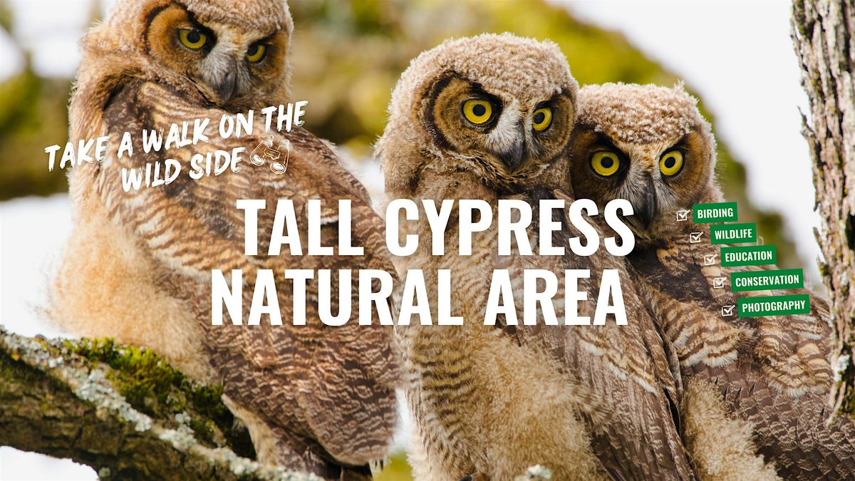 Tall Cypress Natural Area | Event in Coral Springs | AllEvents
