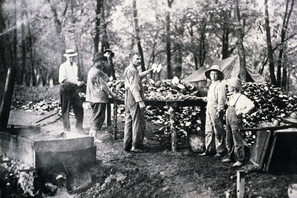 Archeologist Dr. James Theler Presents "River Pearls Freshwater Mussels of the Upper