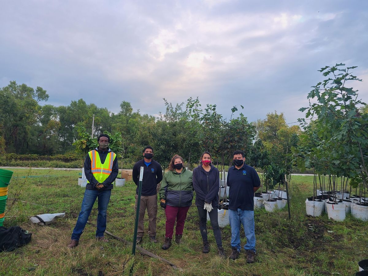 Amber Creek Tree Planting with the CTCC, Amber Creek Park, Hobart