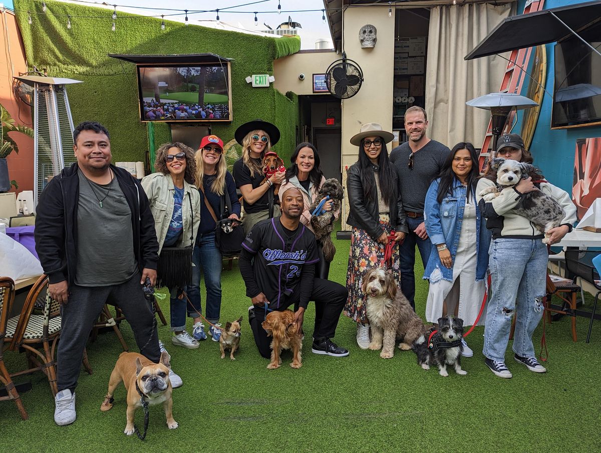 CINCO DE MAYO Yappy Hour Time Baja Hermosa Beach Pet People Connect cinco-de-mayo-yappy-hour-time-baja-hermosa-beach-pet-people-connect