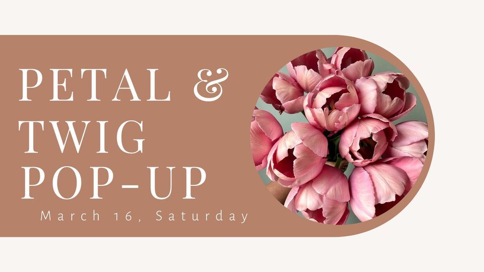 Spring Tulip Pop Up!, Clementine’s Pastries, Mount Clemens, 16 March