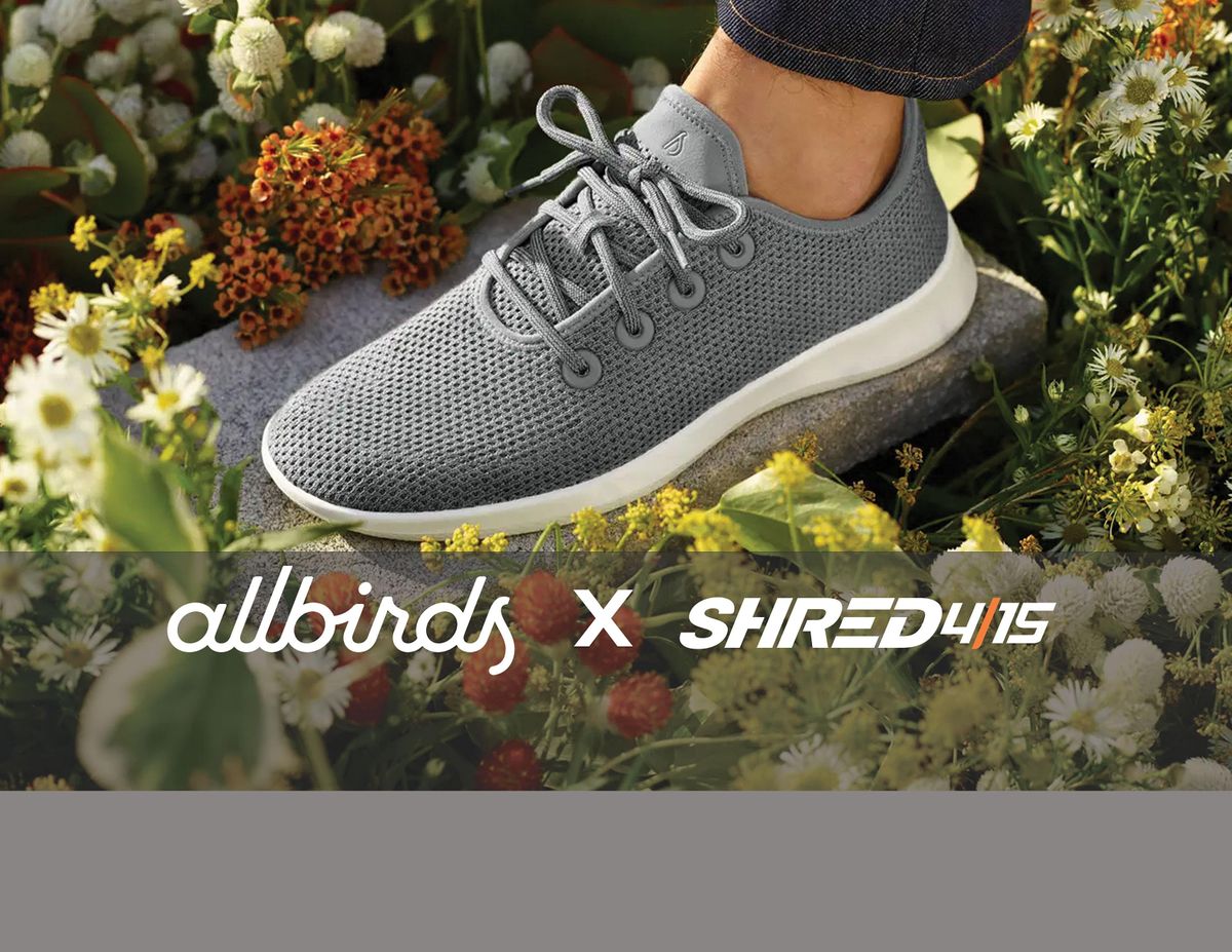 allbirds utc