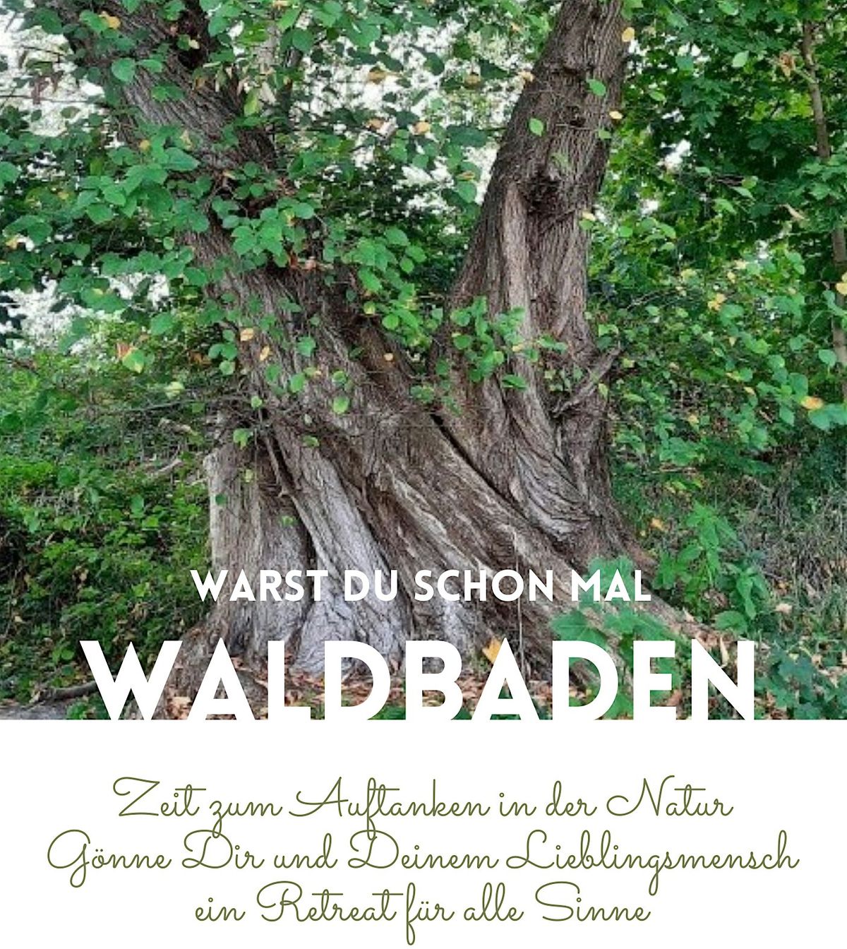 Waldbadenretreat - Wochenende zum  Natur wahrnehmen  und auftanken, 20 June | Event in Neuruppin | AllEvents