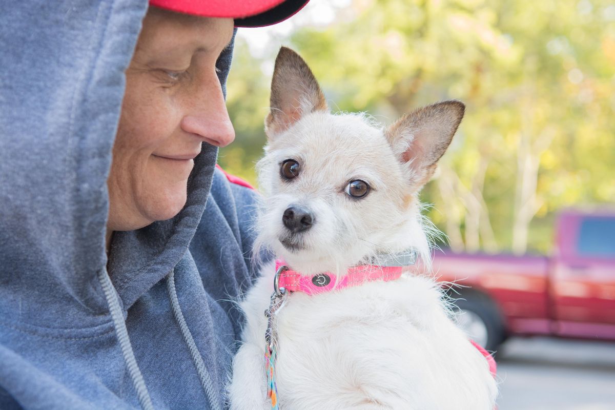 Fearful Feisty Fido Support Group, Pet Resource Center of Kansas City