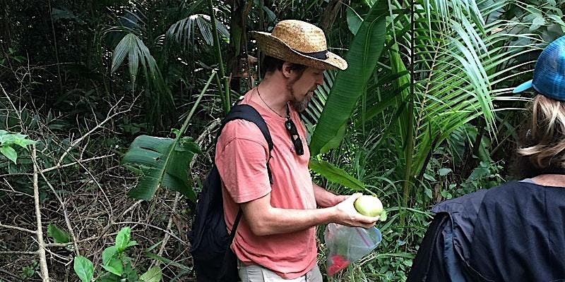 Urban Foraging in Honolulu's Jungles with Dr. Nat Bletter | Event in Honolulu | AllEvents