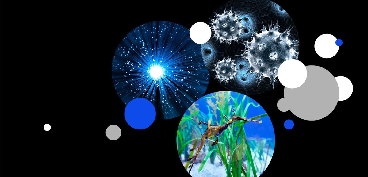 UTS Honours in Science Info Evening, University of Technology Sydney