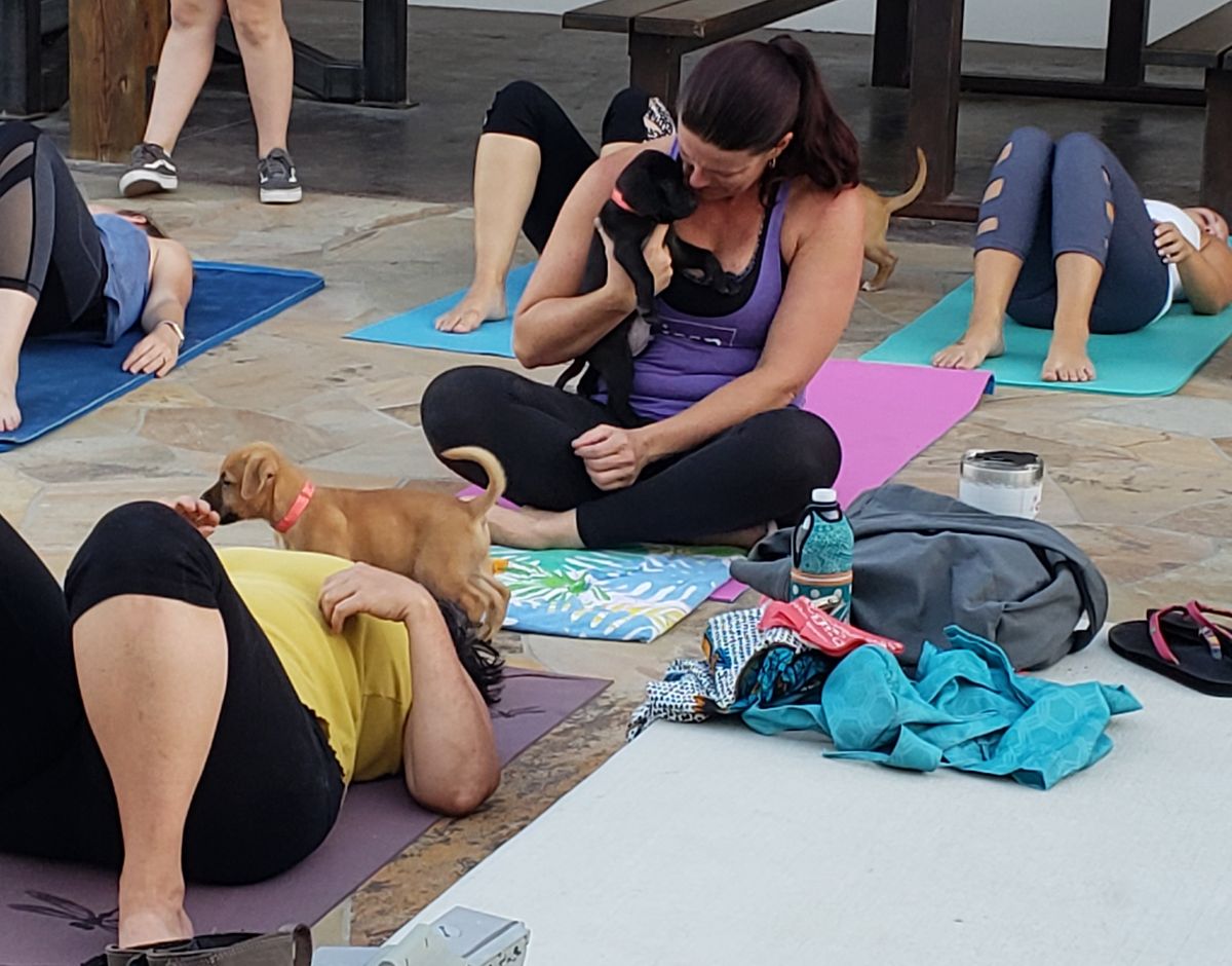 DNYP Puppy Poses At Crunch Clifton Crunch Fitness Clifton 14 dnyp-puppy-poses-at-crunch-clifton-crunch-fitness-clifton-14