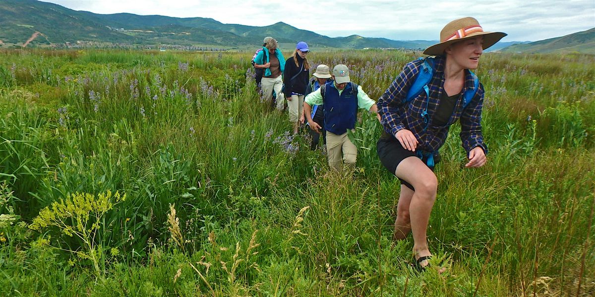 Swaner Saturday Morning Nature Walks | Event in Park City | AllEvents