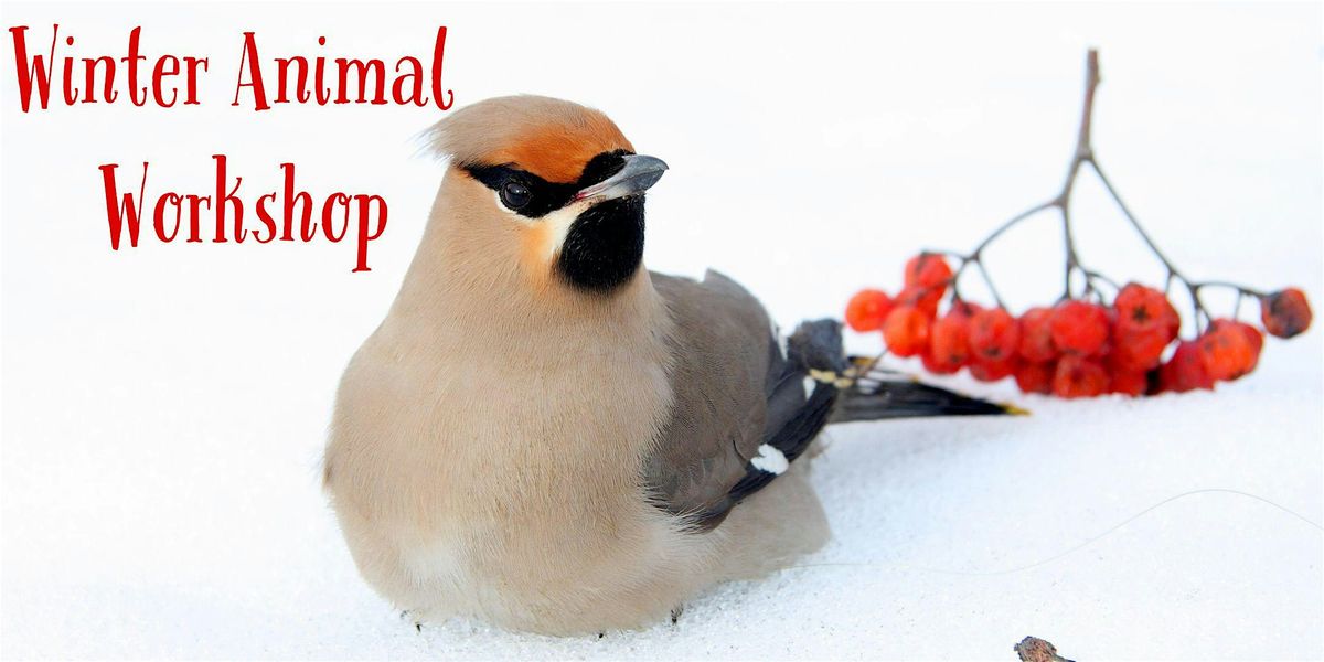 Winter animal workshop ages 5 to7 12 28 2023 aark wildlife