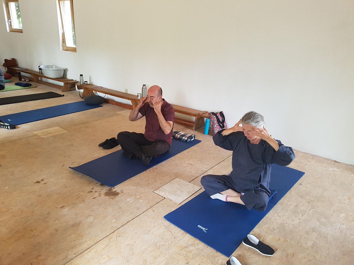 Cours de qigong et de méditation taoïste, Tienne aux Bruyères 13, Namur