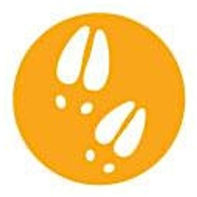 MalamaDoe -A Coworking Community for Women
