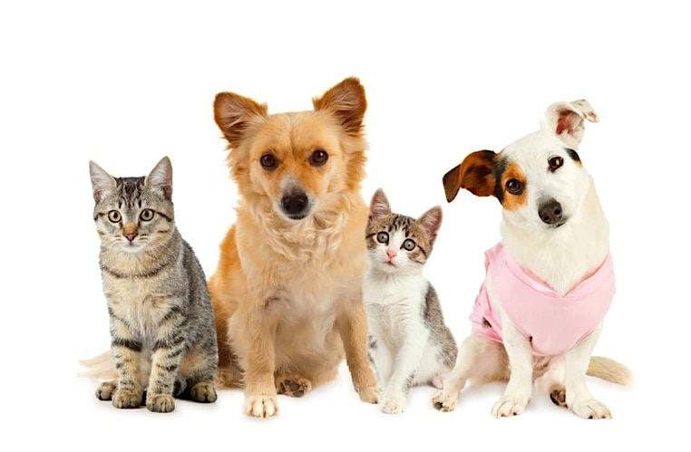 Blessing of the Animals | Event in Annandale | AllEvents