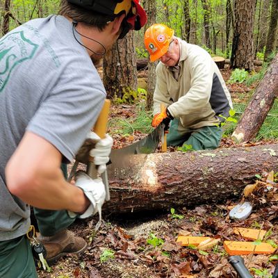 Big Laurel Branch Wilderness Volunteer Weekend, Big Laurel Branch