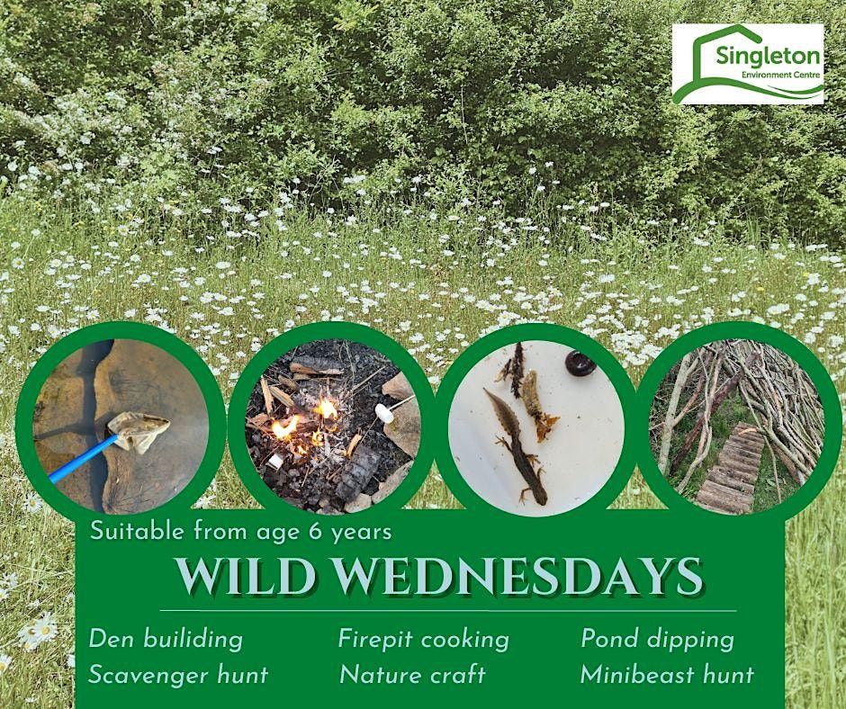 Wild Wednesdays All Summer Dates, Singleton Environment Centre, Ashford