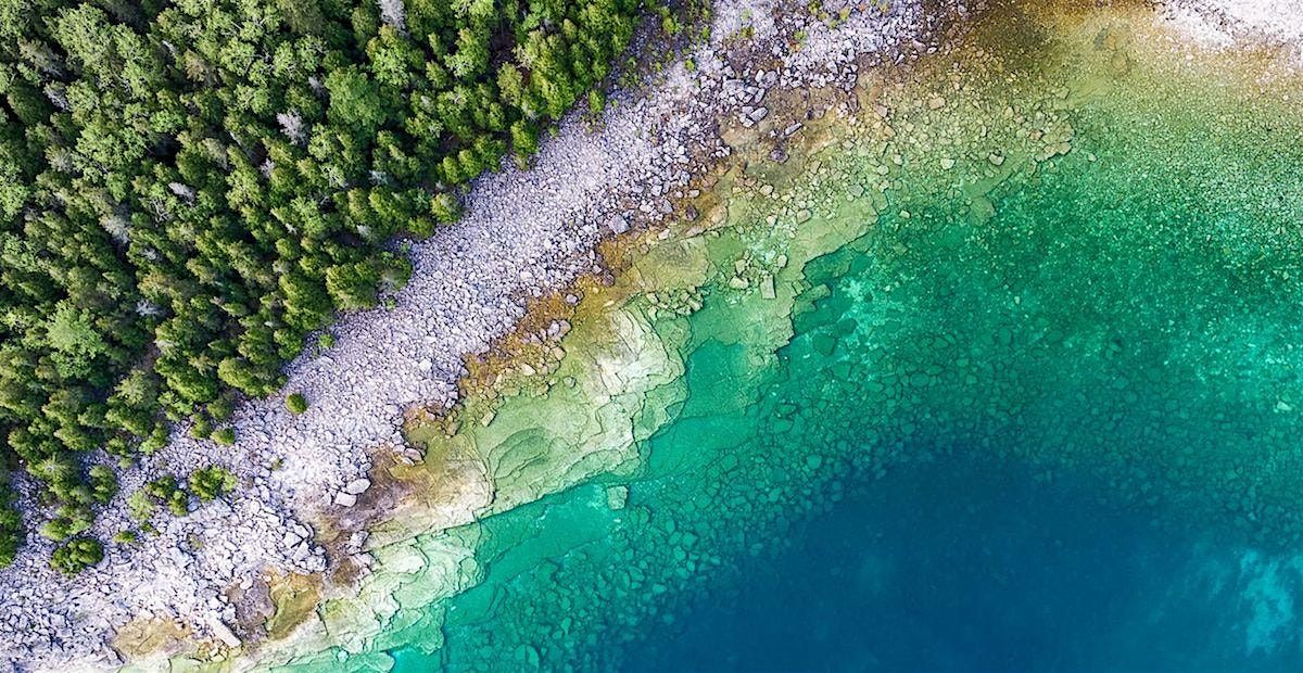 Trees & Seas Online Film Festival 2025, 19 September | Online Event | AllEvents