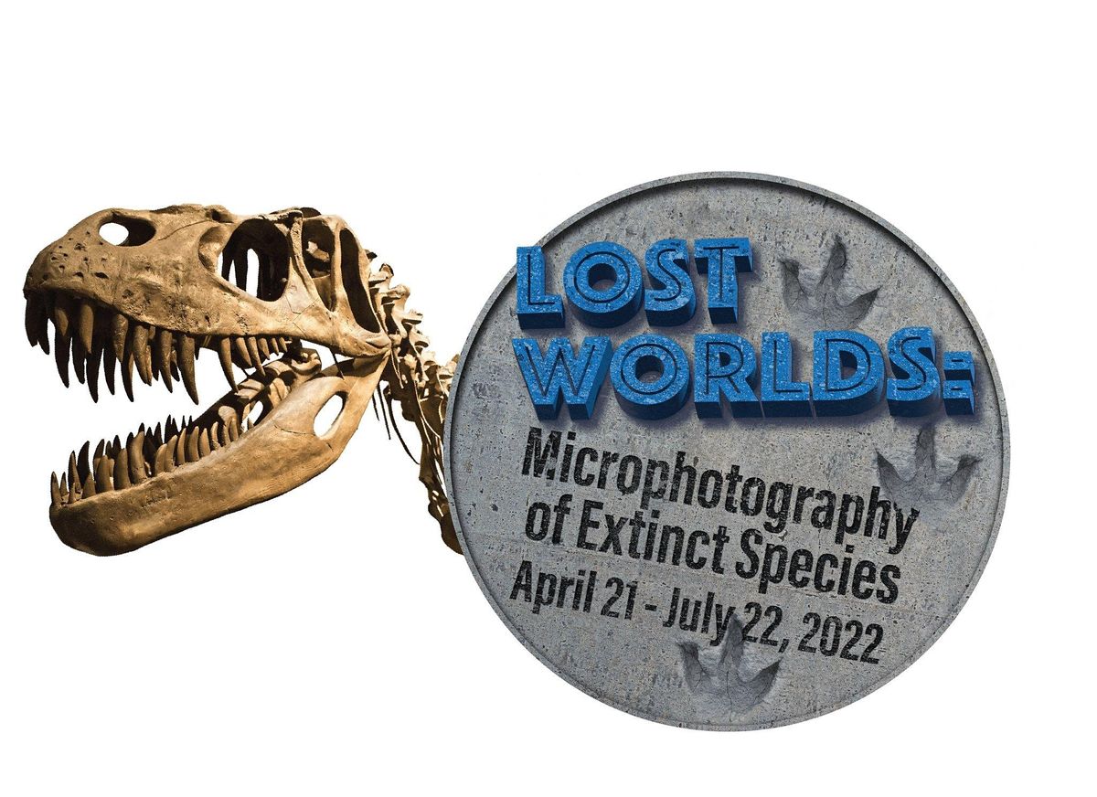 Jurassic World Talk Back R C Wilkes Barre Movies 14 Wilkes Barre jurassic-world-talk-back-r-c-wilkes-barre-movies-14-wilkes-barre