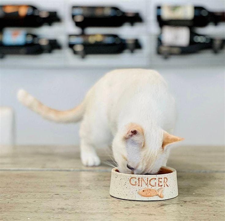 Mothers Day Two Hour Intro to Pottery wheel & clay makingPet Dishes, Artventures Oakville, 11