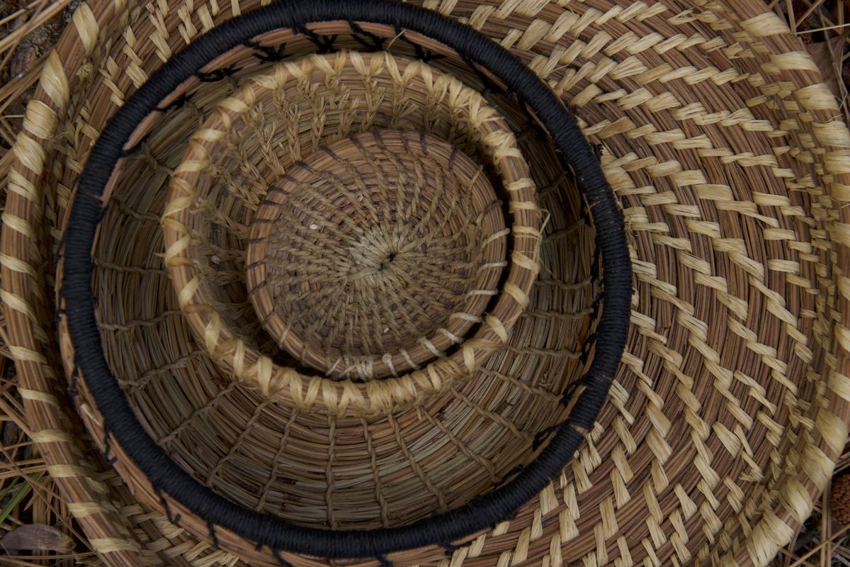 Pine Needle Basket Weaving (Spiral method), Hildegard Ferments