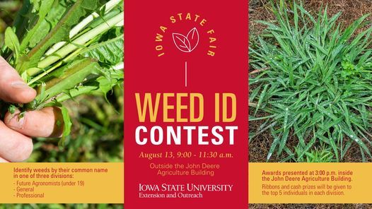 Iowa State Fair W D Id Contest Iowa State Fair Urbandale August 13 2021 Allevents In 2022 Iowa State Fair Outreach