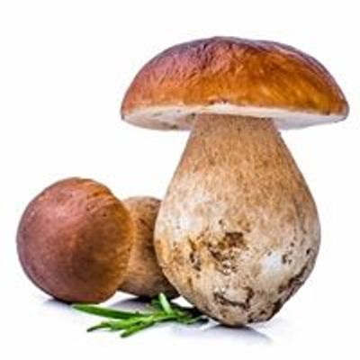 Mushroom Kenya