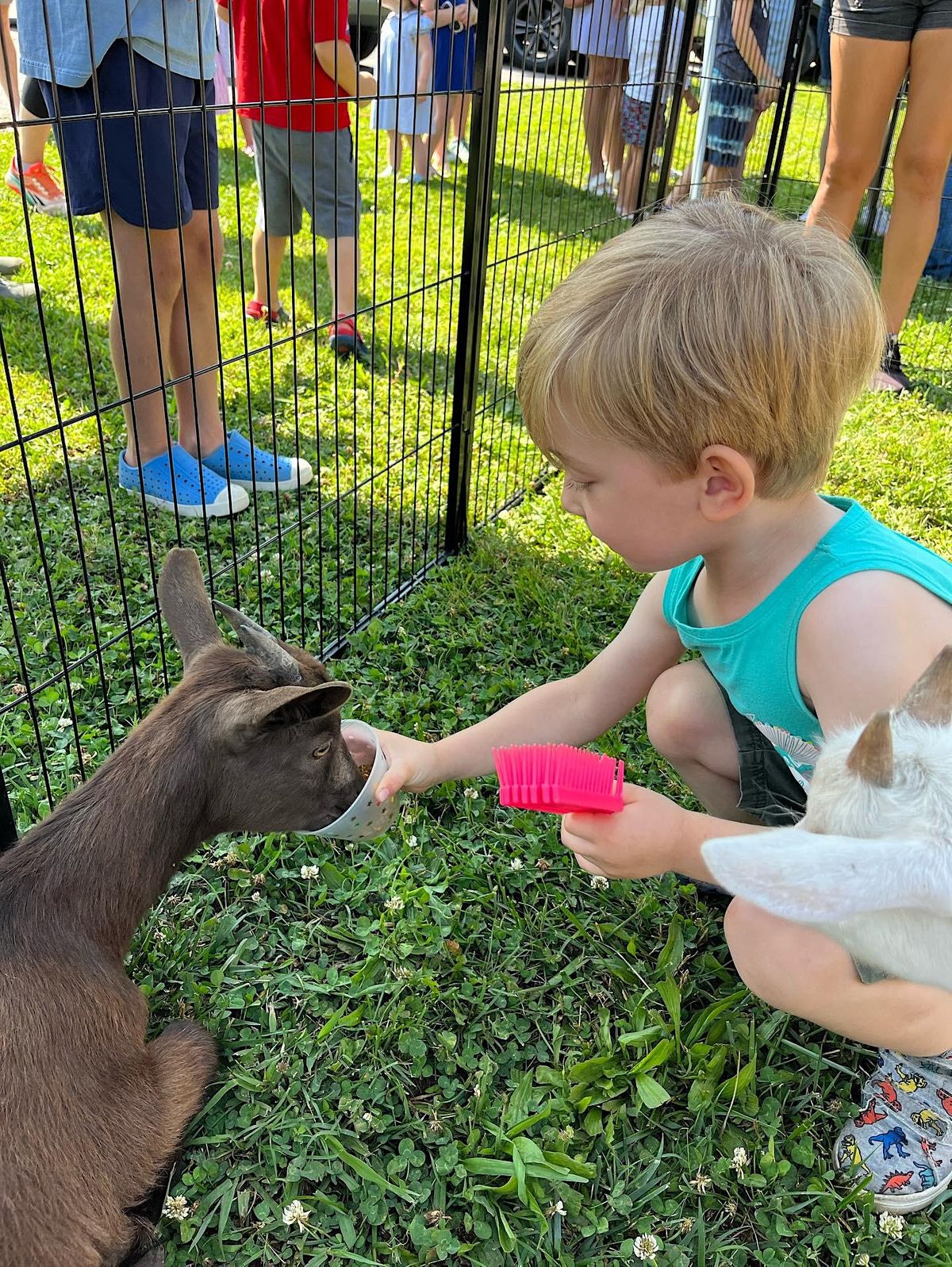 Mobile Petting Zoo Private Party (Phipps), Raleigh, January 6 2024