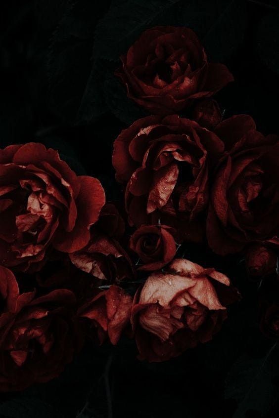 The Elegant Nocturnal Social, 18 October | Event in Baltimore | AllEvents