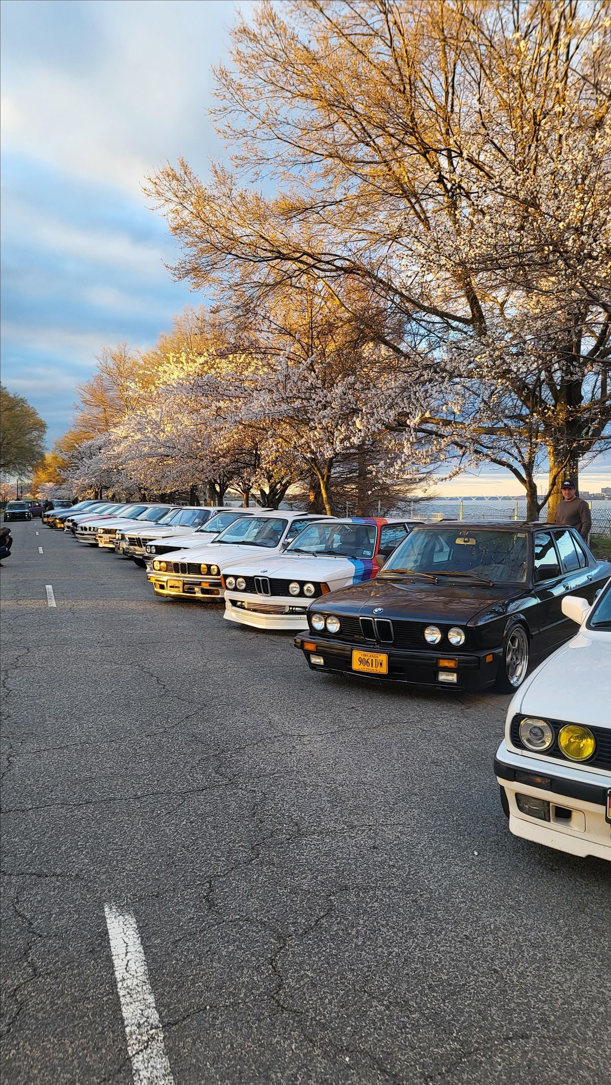 Third Annual BMW Cherry Blossom Drive 2985 District Ave Fairfax Third Annual BMW Cherry Blossom Drive 2985 District Ave Fairfax