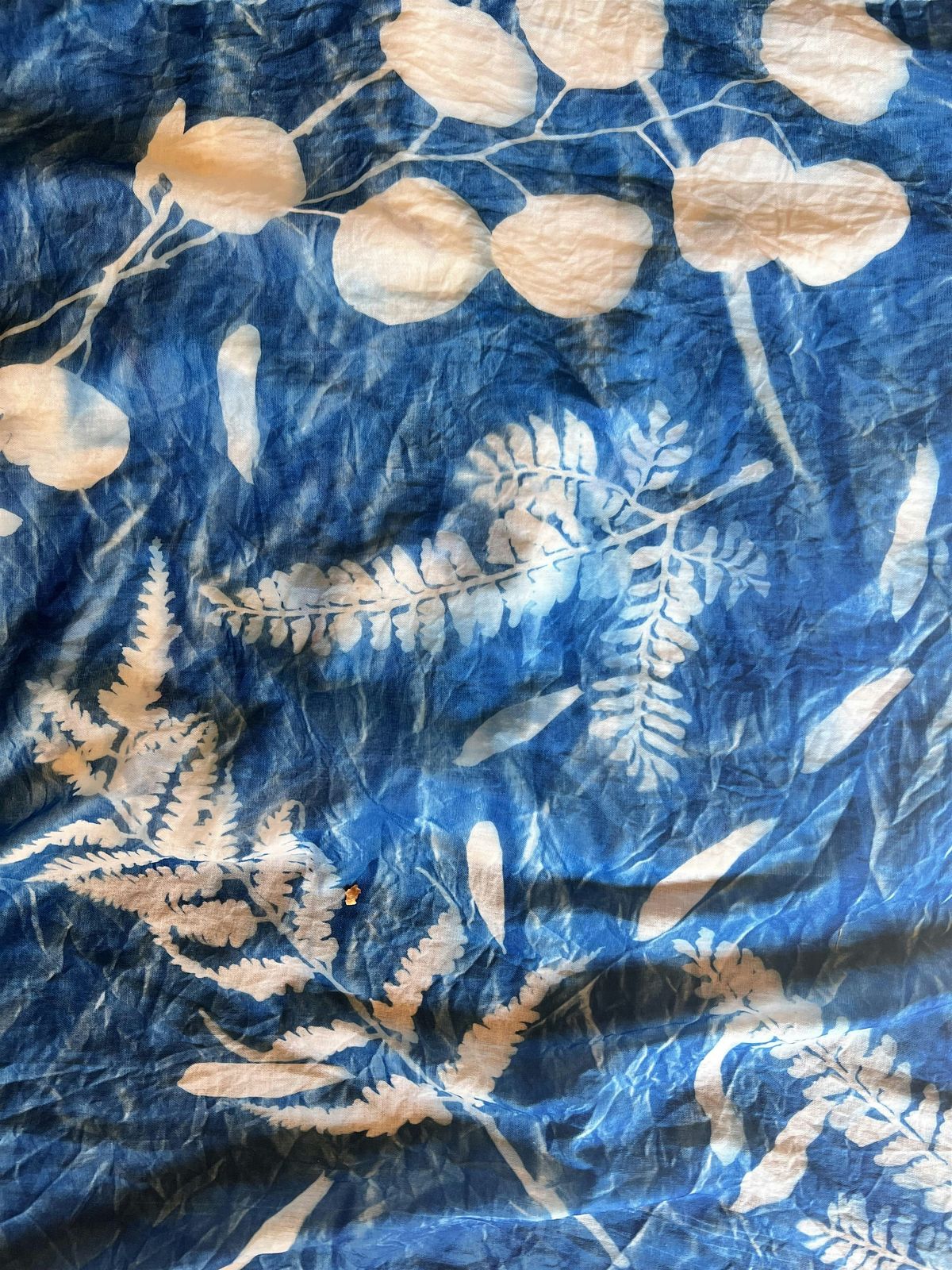 Prints with the Sun: The Next Level!  Art of Cyanotypes, 9 December | Event in Santa Fe | AllEvents