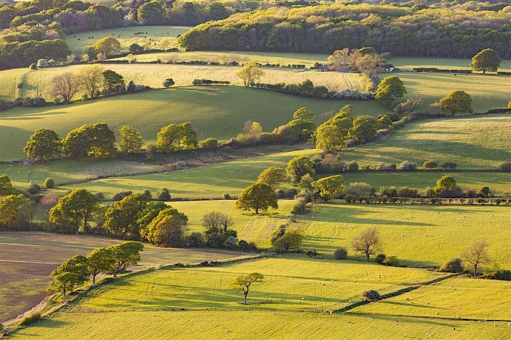 5 mile, off road loop run from Devils Dyke Car Park with Susie B