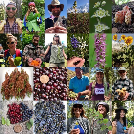 Edible & Medicinal Plants of the Pacific Northwest Herb