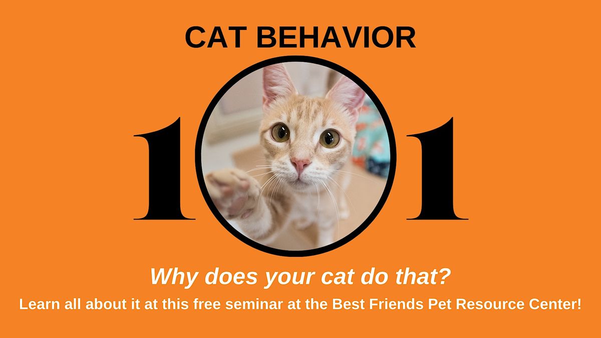 Cat Behavior 101, Best Friends Pet Resource Center in NW Arkansas