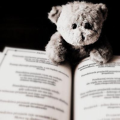 Valentines day dinner, lighthouse coffee & wine, waco, february 14 2023 Peluche Party & Teddy Bear Tea, Little Walnut Creek Branch, Austin