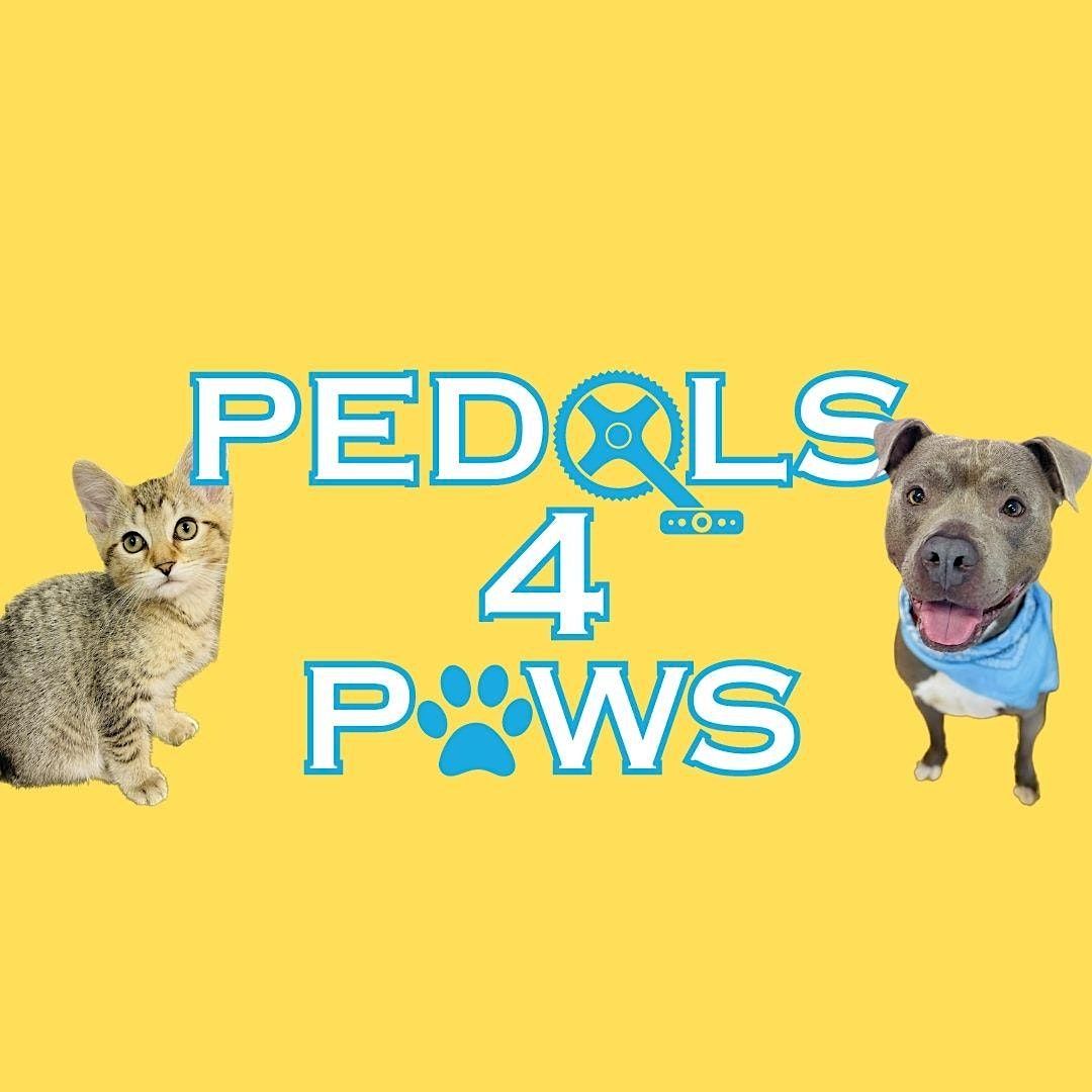 Pedals 4 Paws, GSR FIT, Riverside Drive, Johnson City, NY, USA, 26
