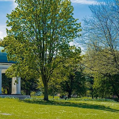 Rotherham District Civic Society logo