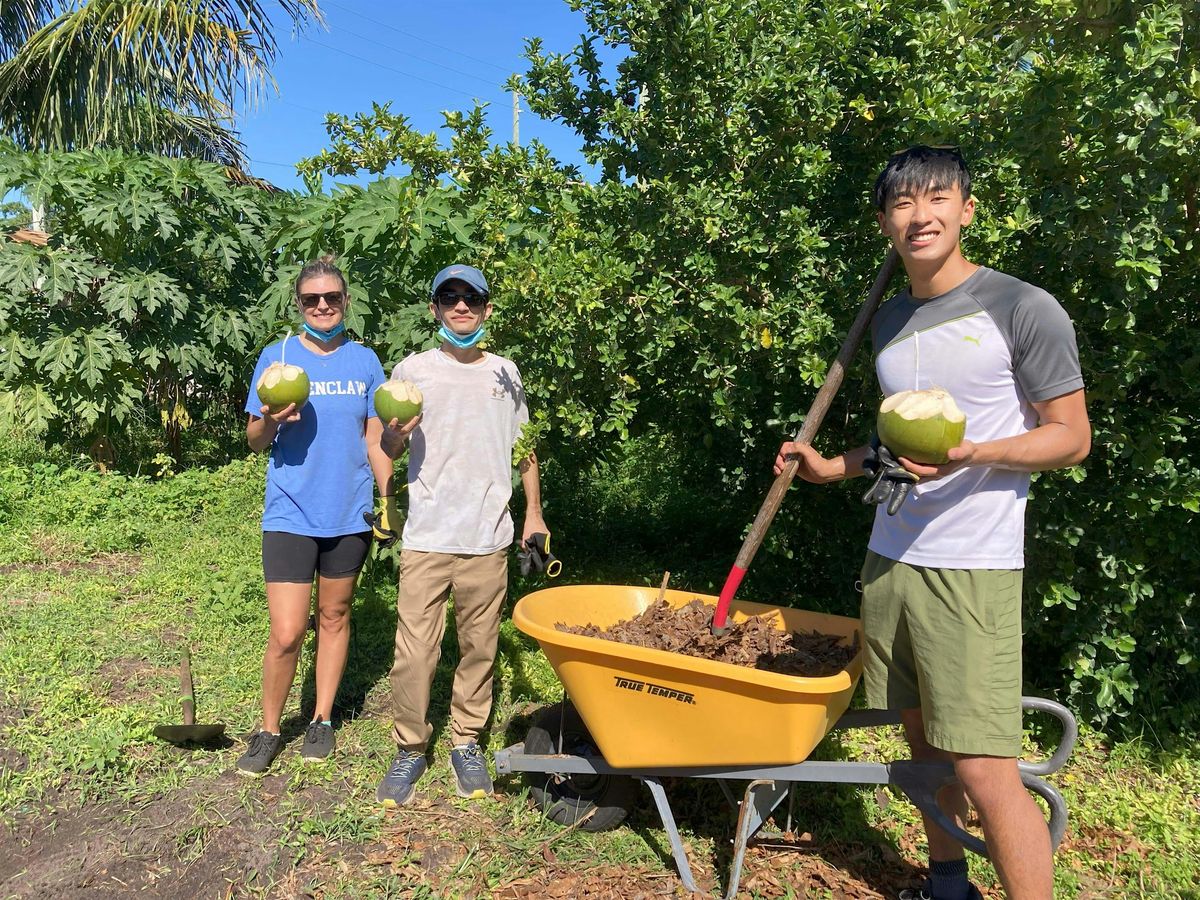 Community Cultivators, Volunteer at the farm! | Event in West Palm Beach | AllEvents