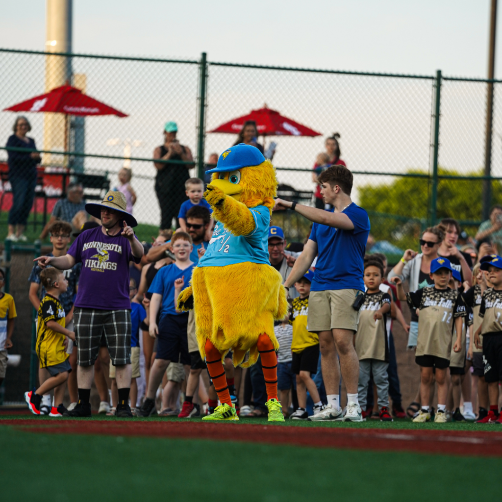 Sioux Falls Canaries at Gary SouthShore RailCats at U.S. Steel Yard, 28 August | Event in Gary | AllEvents