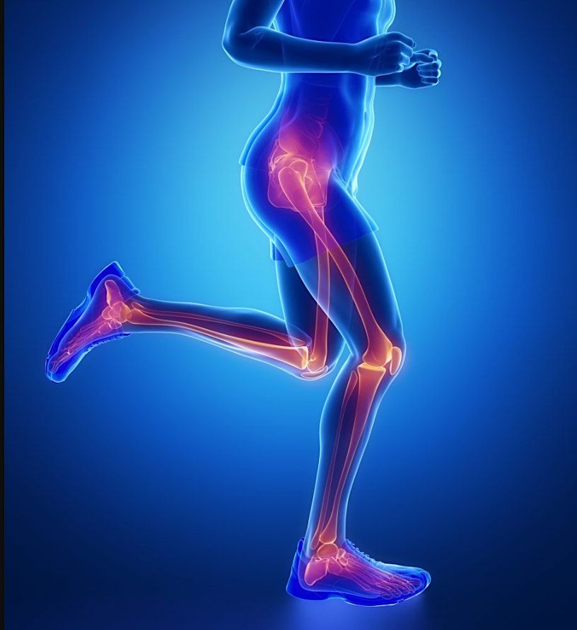 Vanderbilt Sports Medicine Lower Extremity Symposium, Frist Art Museum