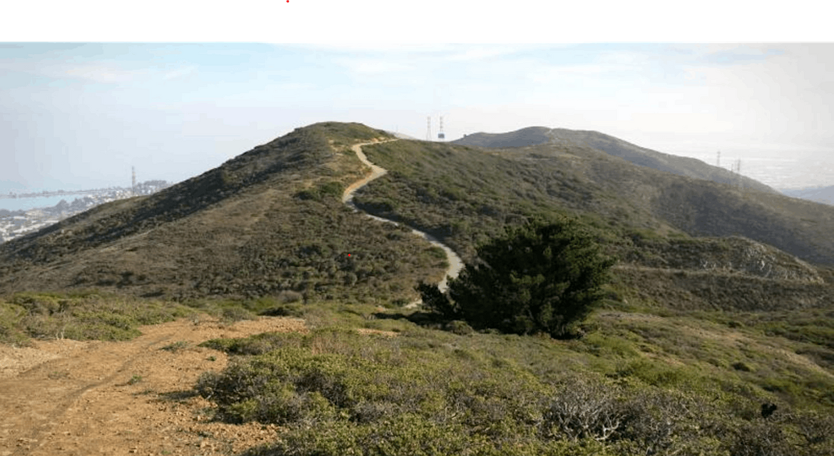 San Bruno Mountain Habitat Restoration Event, San Bruno Mountain State