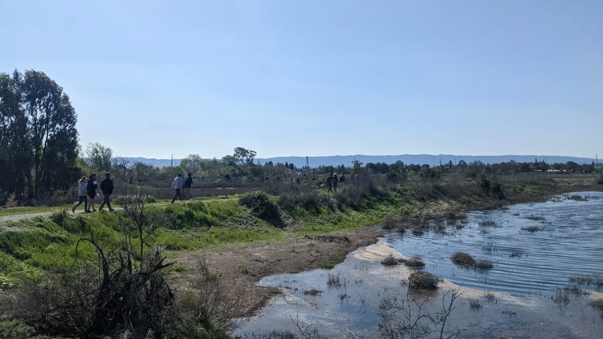 Mood Boost 5 miles 💚Green Exercise 🥾Baylands Nature Preserve🐧🐣🦅🦢🦆, 30 November | AllEvents